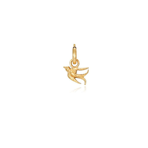 Charm Bird