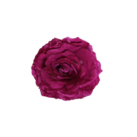 Rosa Buganvilla