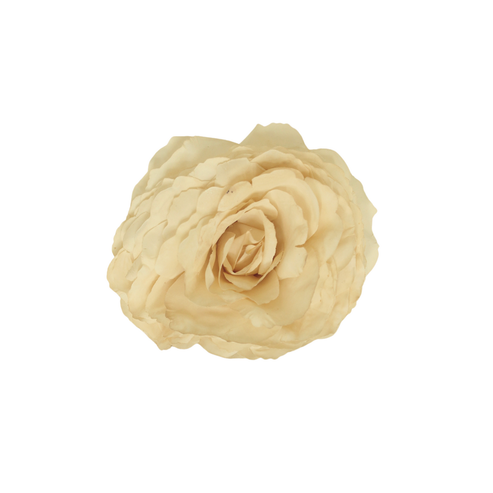 Rosa Cruda