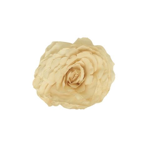 Rosa Cruda
