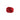 Clavel Rojo Oscuro Doble