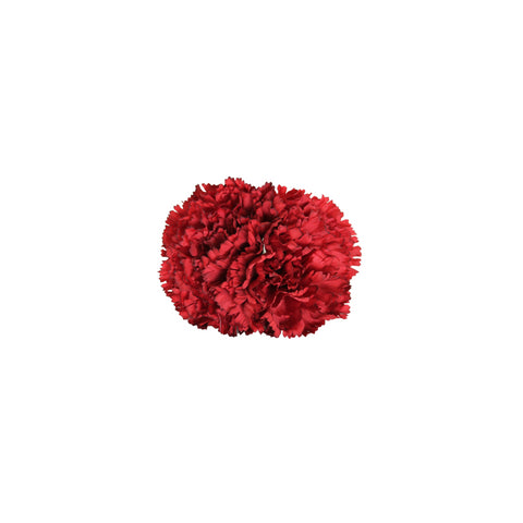 Clavel Rojo Oscuro Doble
