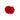 Clavel Rojo Doble