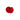Clavel Rojo Doble