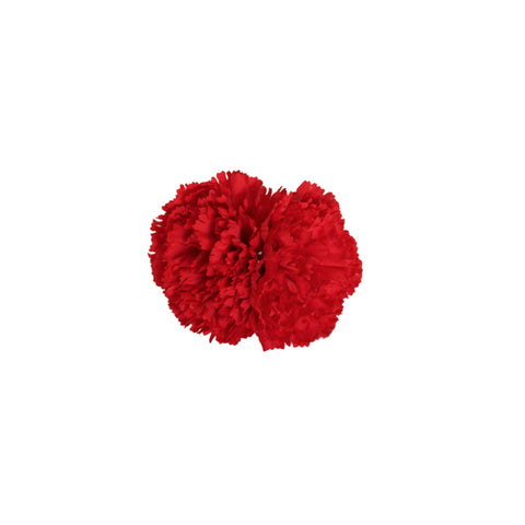 Clavel Rojo Doble
