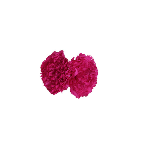 Clavel Fucsia Doble