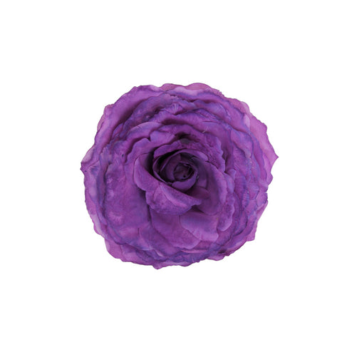 Rosa Morada