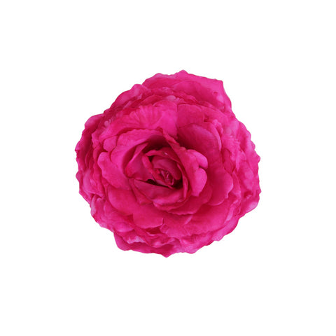 Rosa Fucsia