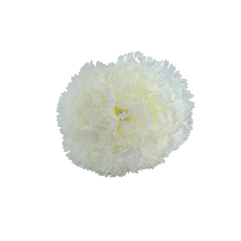 Clavel Blanco Doble