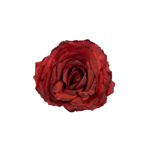 Rosa Rojo Oscuro