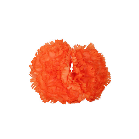 Clavel Salmón Doble