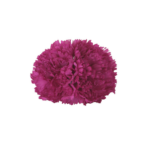 Clavel Buganvilla Doble