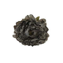 Peonía Sevilla Negro Empolvado