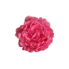 Peonía Sevilla Rosa