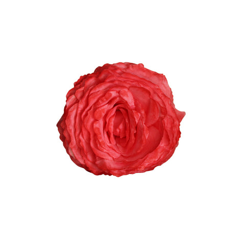 Rosa Coral