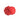 Clavel Coral Doble