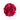 Flor Hanna Fucsia