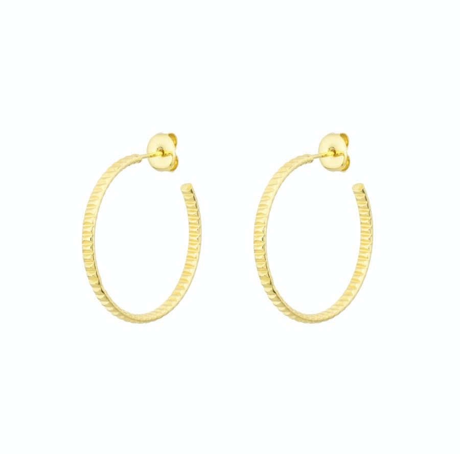 Aros Paulette M