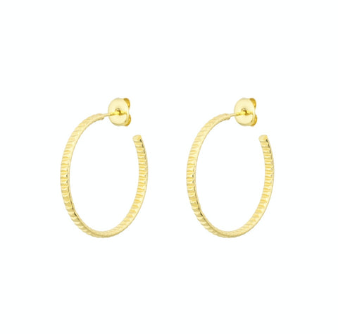 Aros Paulette L