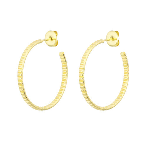 Aros Paulette L
