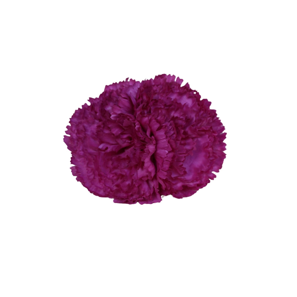 Clavel Buganvilla Doble